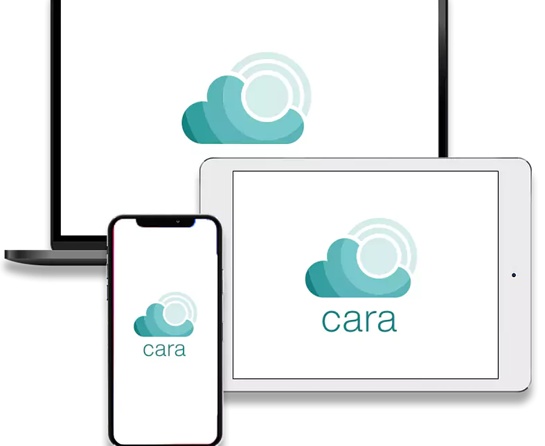 Section-CARA-on-different-devices-479px.png